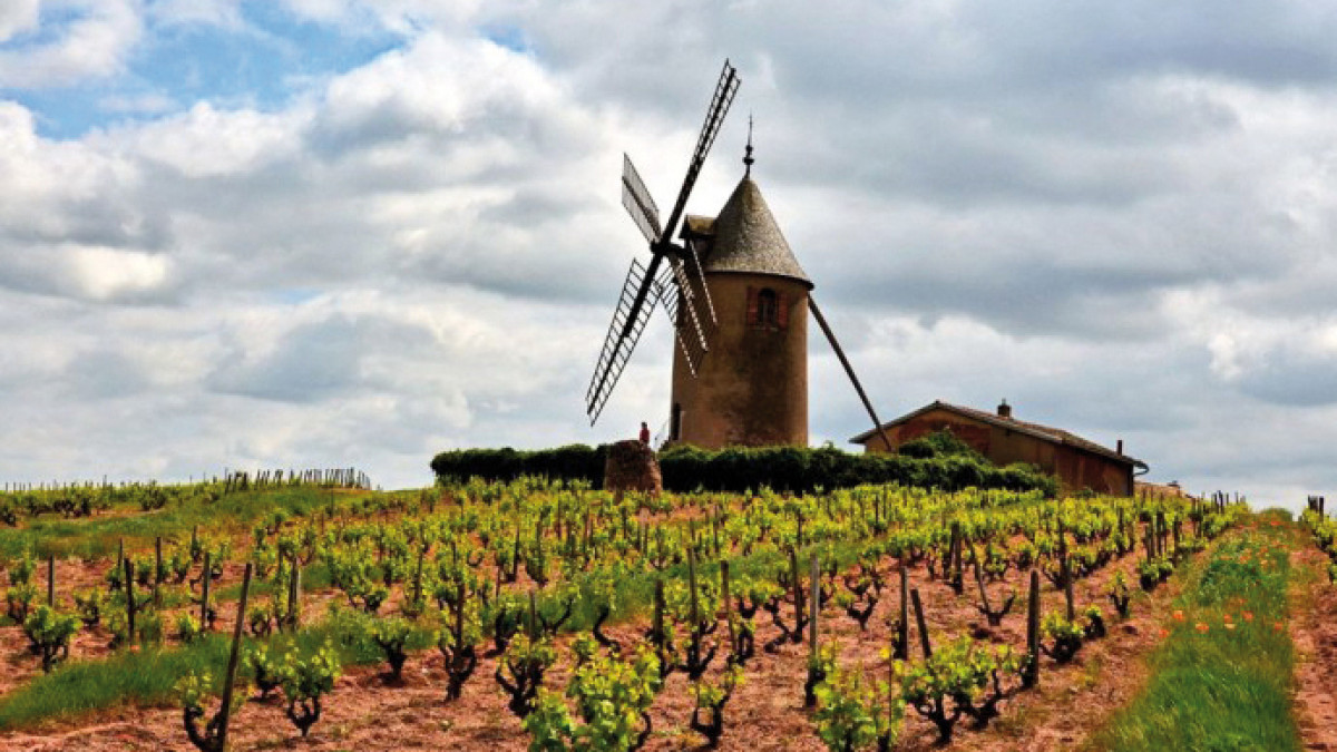 Moulin Moulin