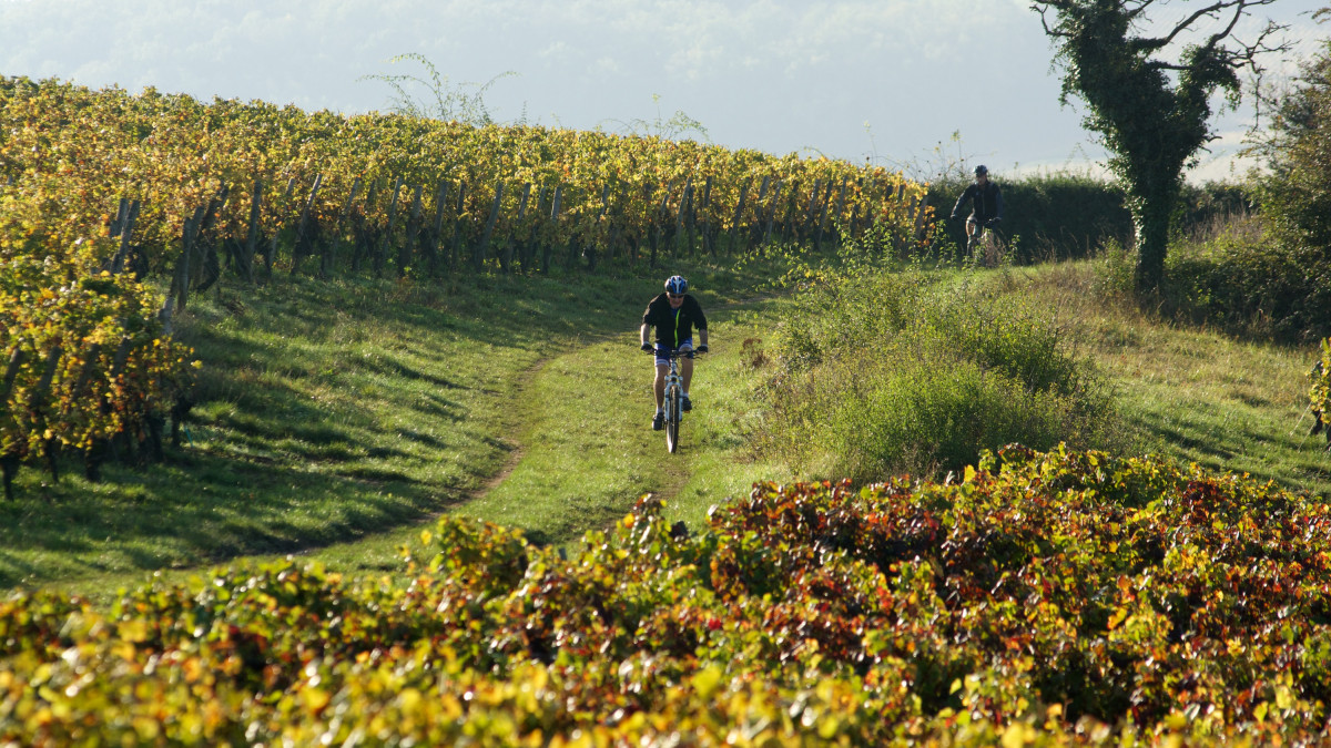 vtt_JPV.jpg vtt_JPV.jpg