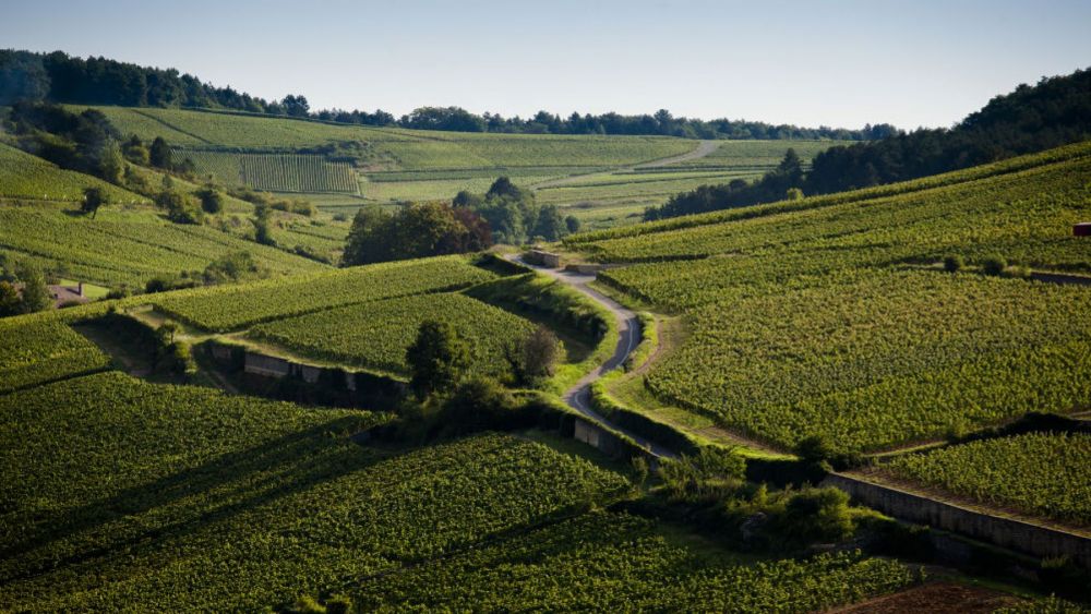 Pourquoi aller en Bourgogne ? Pourquoi aller en Bourgogne ?