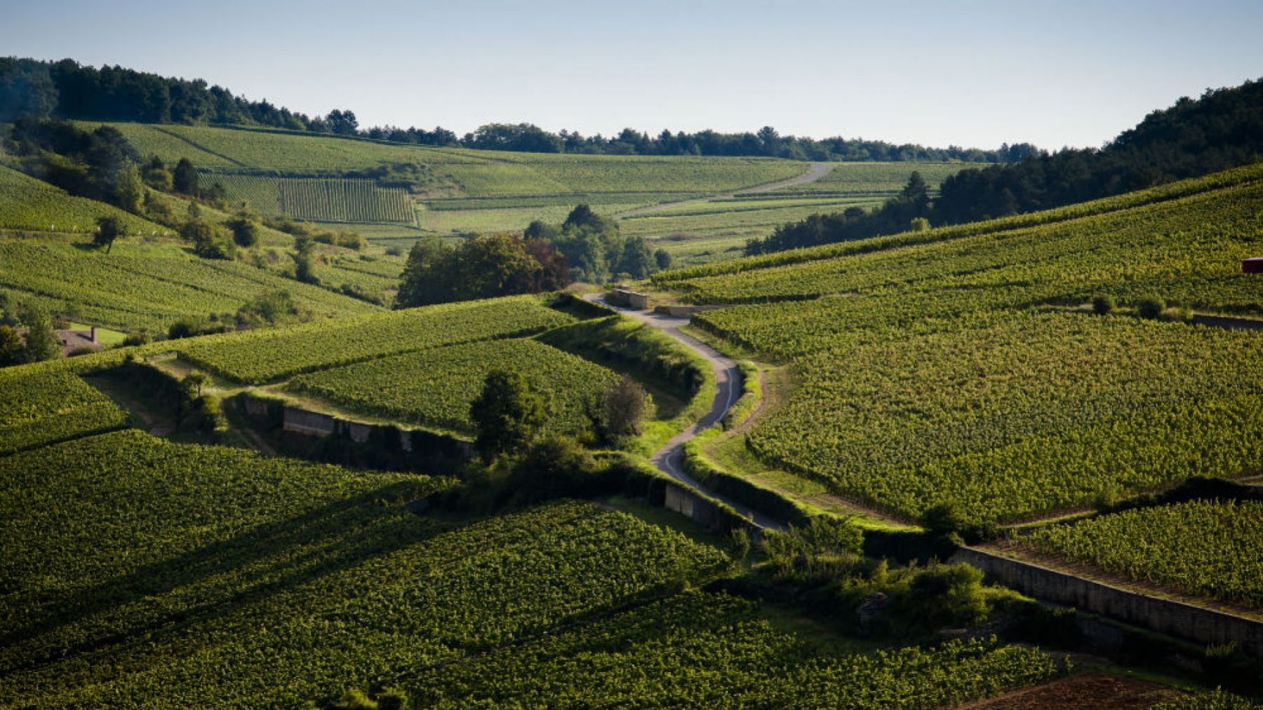 Why go to Burgundy? Why go to Burgundy?