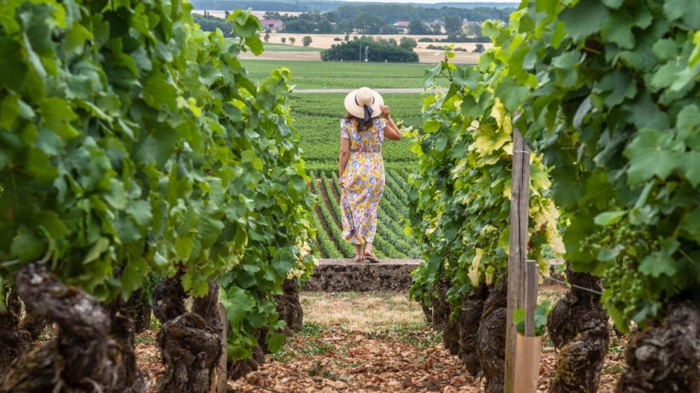 Où se ressourcer en Bourgogne ?