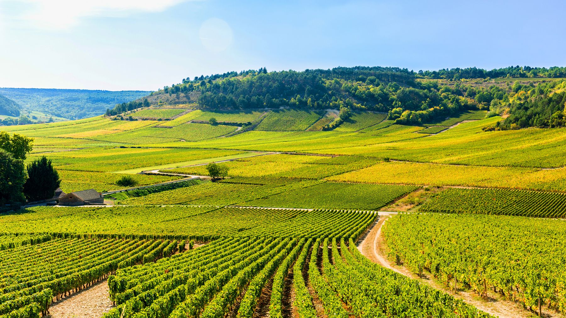 What is the climate of Burgundy? What is the climate of Burgundy?