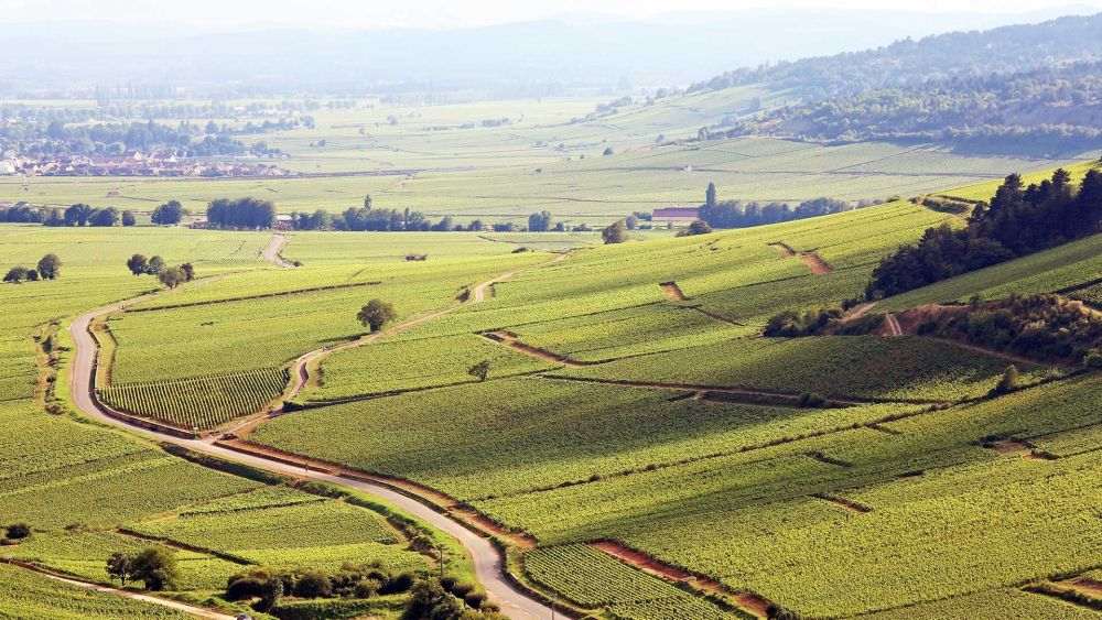 Où aller se promener en Bourgogne ? Où aller se promener en Bourgogne ?