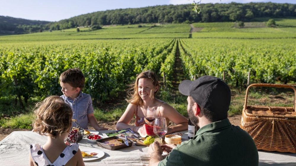 Où aller en Bourgogne pour goûter de bon vins ? Où aller en Bourgogne pour goûter de bon vins ?