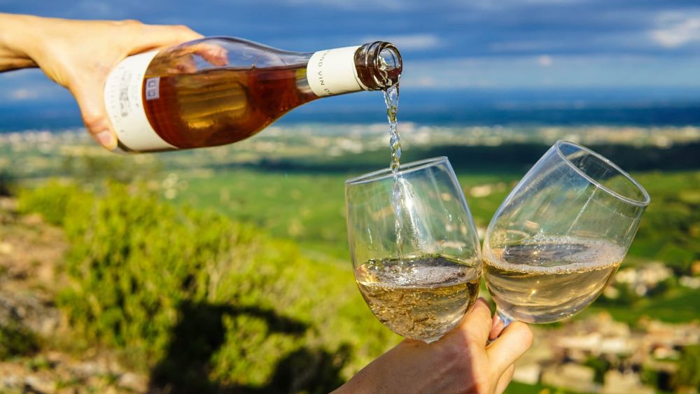 Where to go in Burgundy to taste good wines? Where to go in Burgundy to taste good wines?